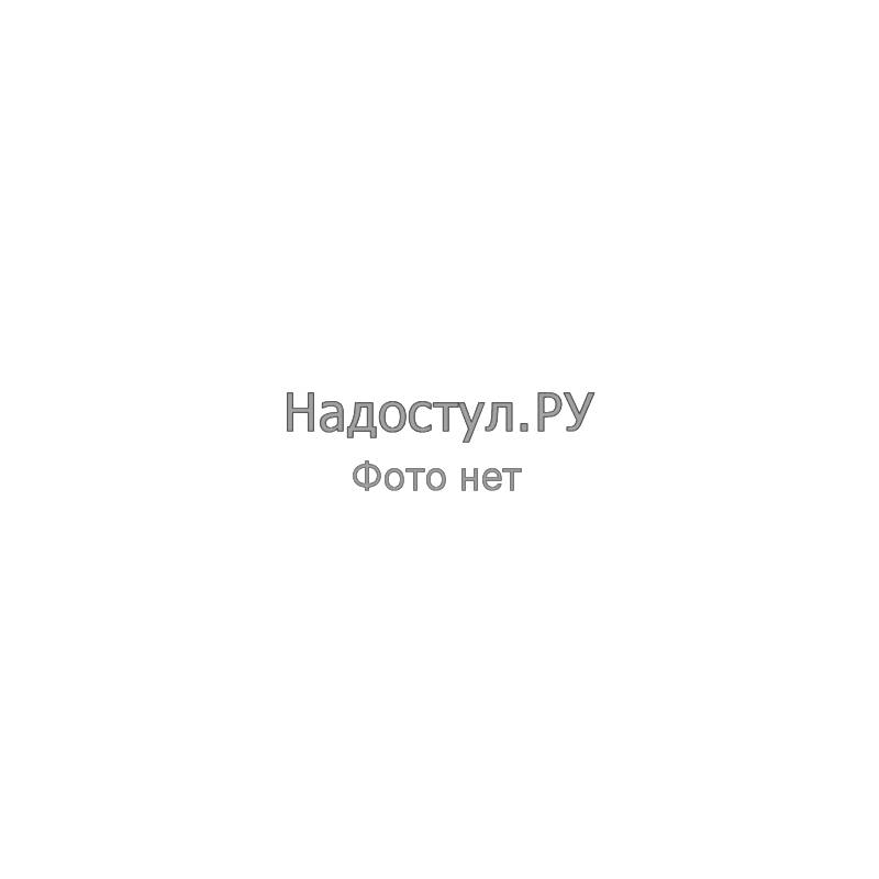 Секция комбинированной перегородки RP160SG140 Легно светлый/Матовые полоски 1405х22х1600  главное фото